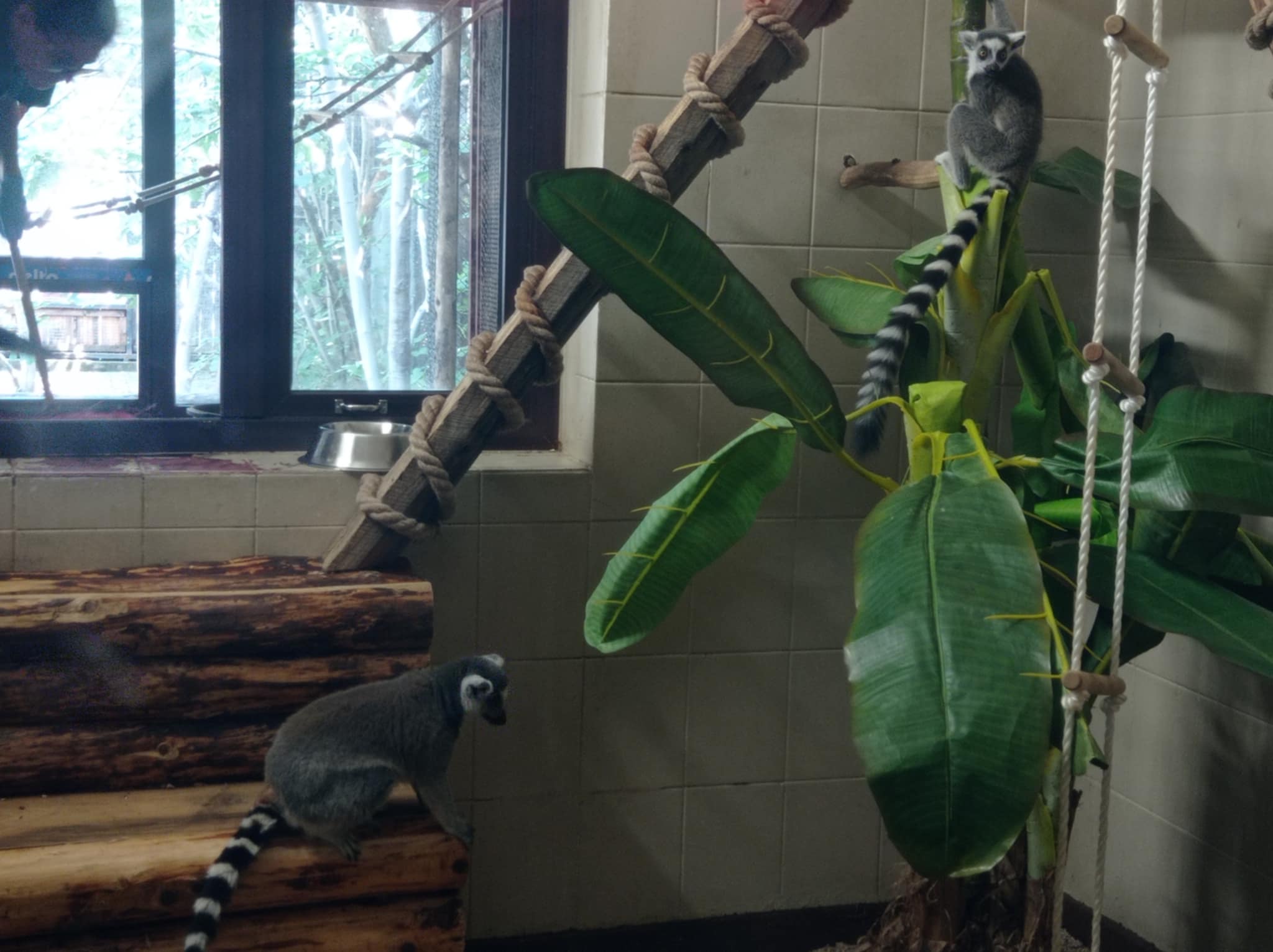 Apa preferată de tine şi animalele de la Zoo, la #focustogreenecolife