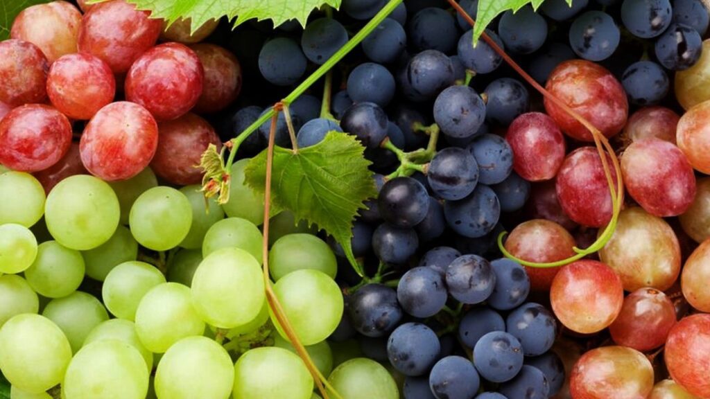 Octombrie plin cu fructe și emoţii de toamnă la #Apecurateasumate