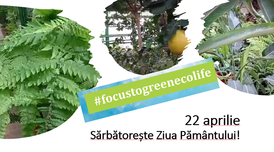 Deschiși spre a cunoaște și a proteja Pământul și resursele sale de apa. “Focus to green eco life” de Ziua Pământului